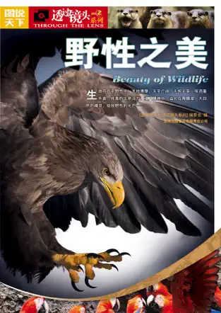 图说天下 - 野性之美