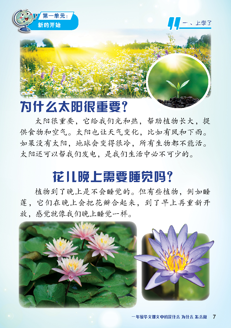 【最新跟着课文走】:华文课文中的 是什么·为什么·怎么做(一至六年级)(课外读物) - Image 5