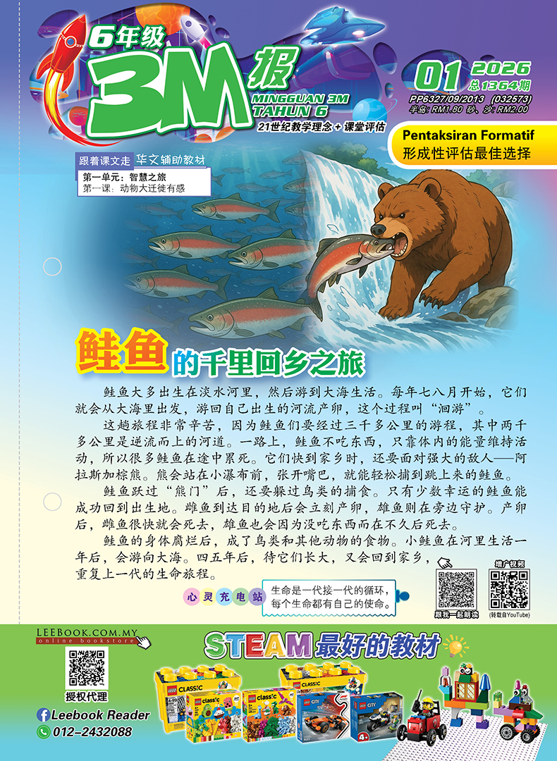【Ready Stock】3M - 六年级(2026)【第一期 至 第十五期】