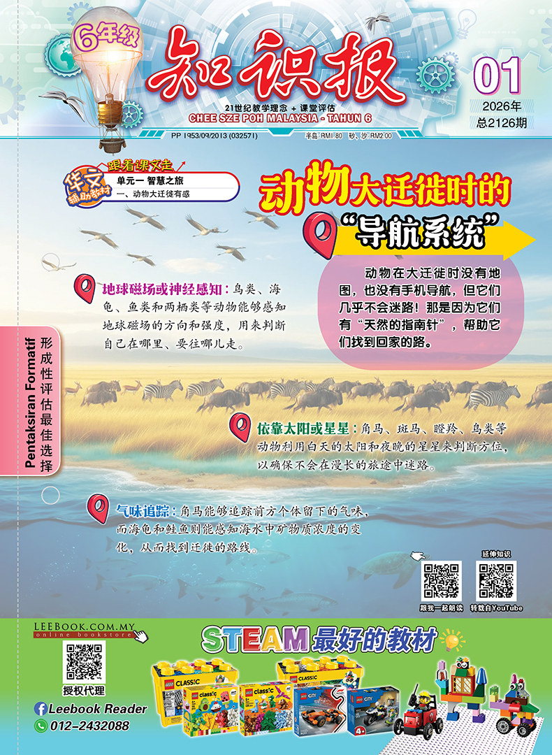 【Ready Stock】知识报 - 六年级(2026)【第一期 至 第十五期】