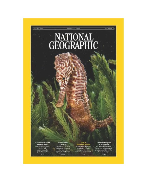 National Geographic Magazine 2026 - Image 3