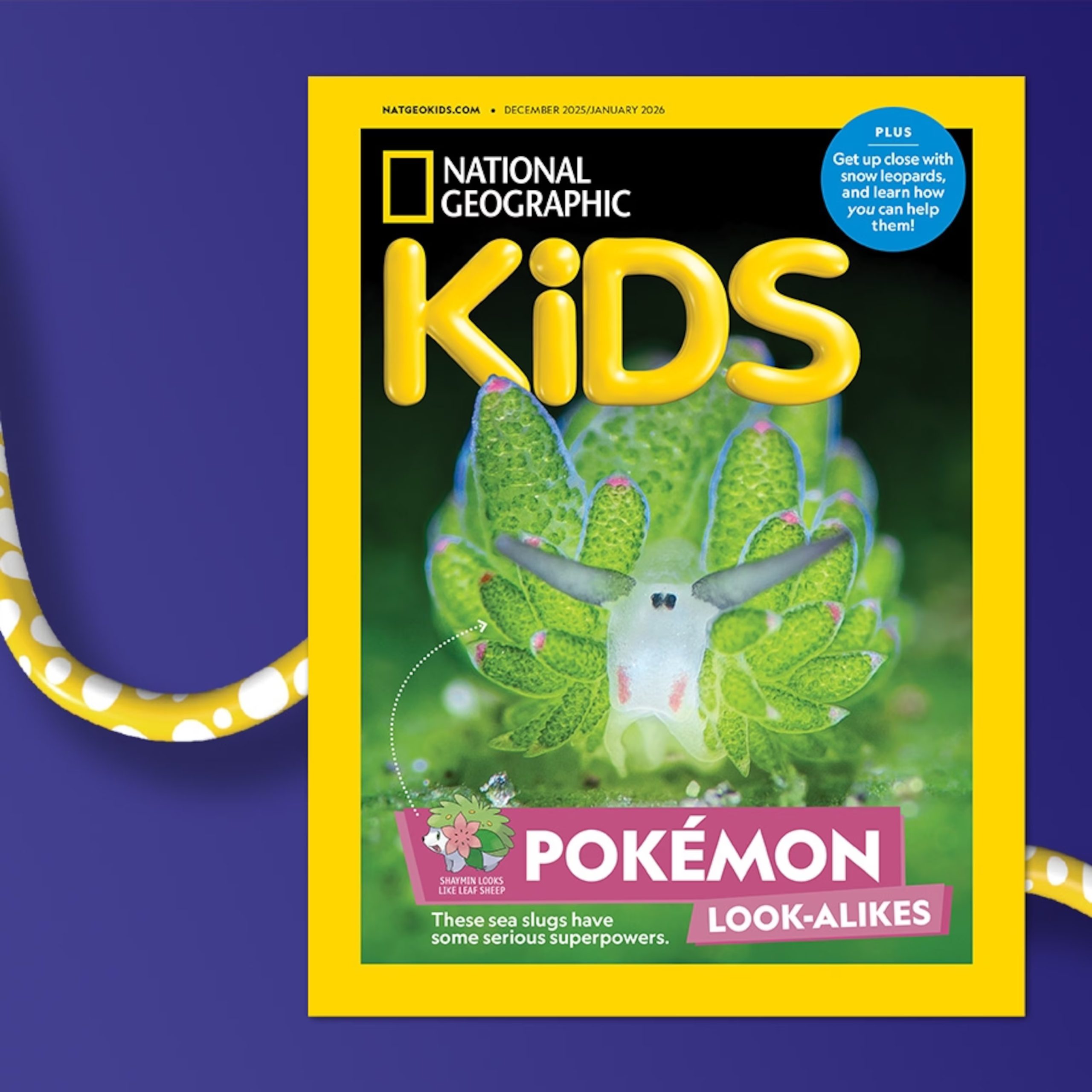 2026【 National Geographic Kids 】( Dec2025-Jan2026 - June ) *Single Issue 单本