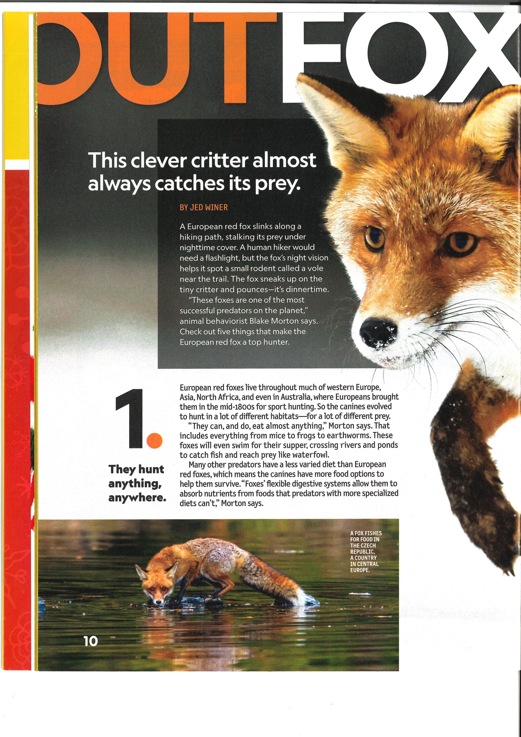 2026【 National Geographic Kids 】( Dec2025-Jan2026 - June ) *Single Issue 单本 - Image 2