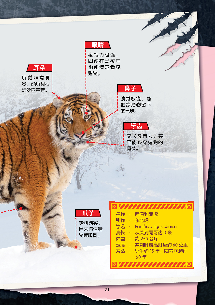 (BC) D'ZAYER 猛兽帝国系列(第1 - 5期) - Image 5