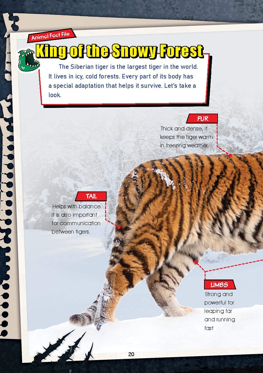 (BI) D’ZAYER Squad Beast Empire Series (Issue 1-4) (Science/Adventure/Animals) - Image 5