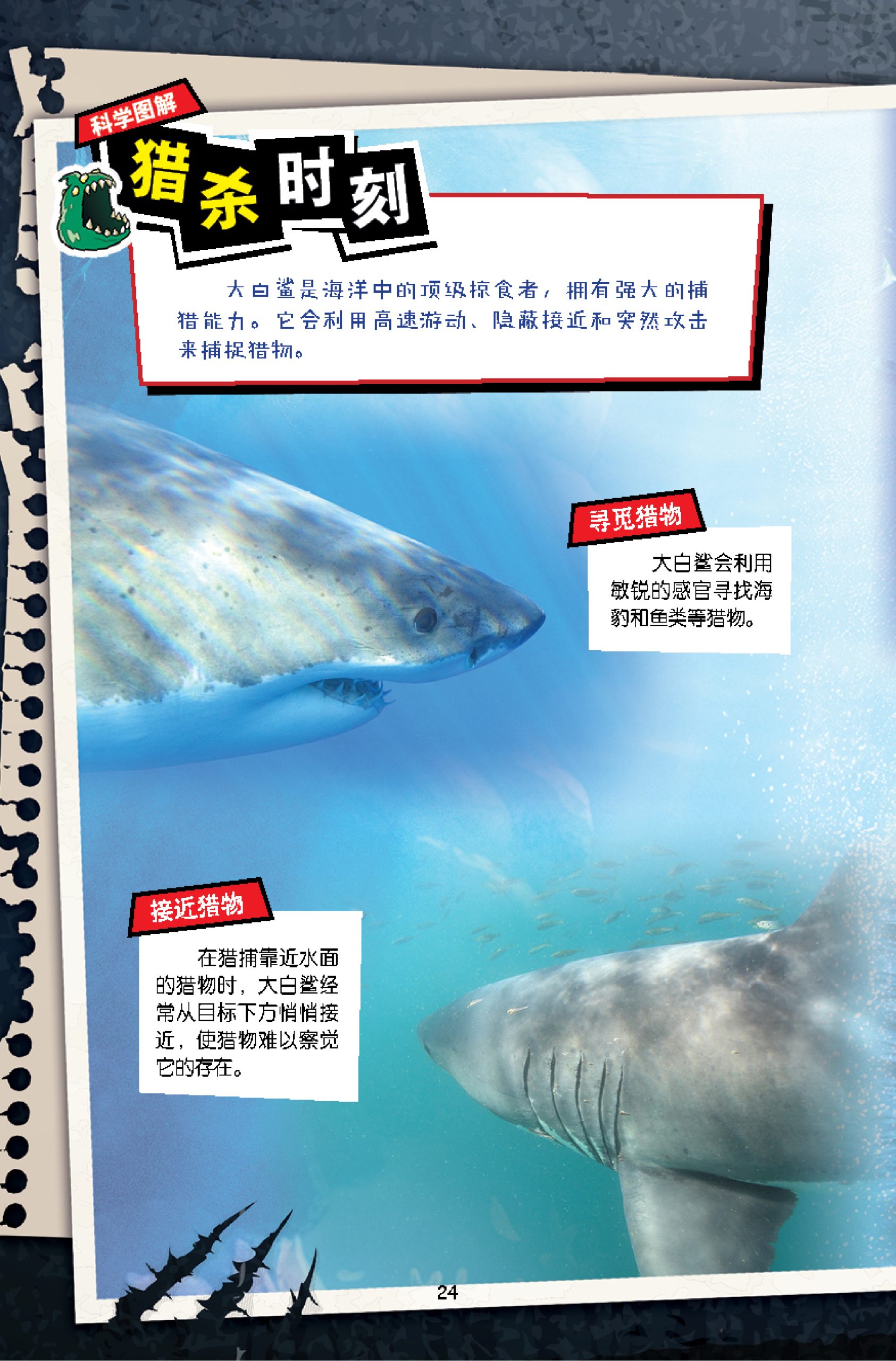 D’ZAYER 猛兽帝国 第8期:大开鲨戒(下篇) - Image 5