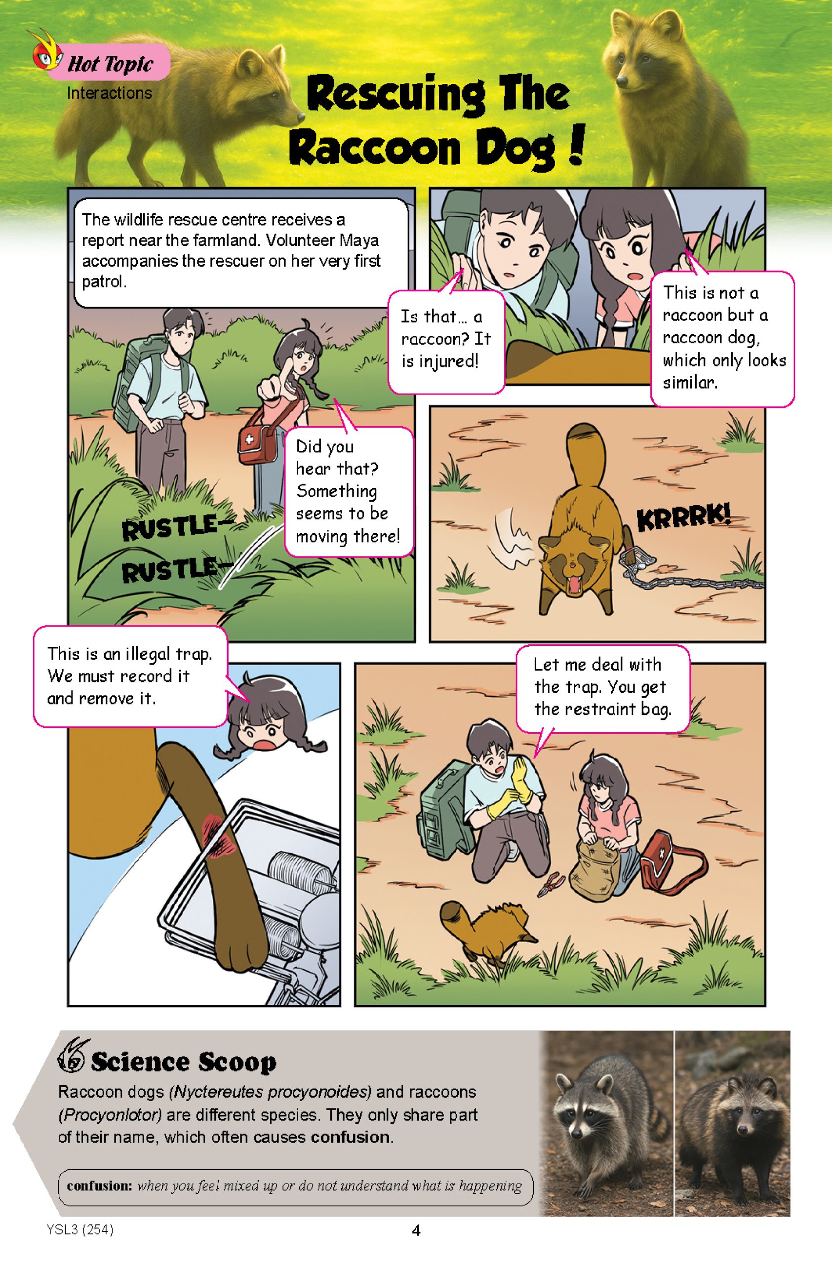 The Young Scientists 2026 Level 3- 254 WHO Started The Forest Fire - Image 3