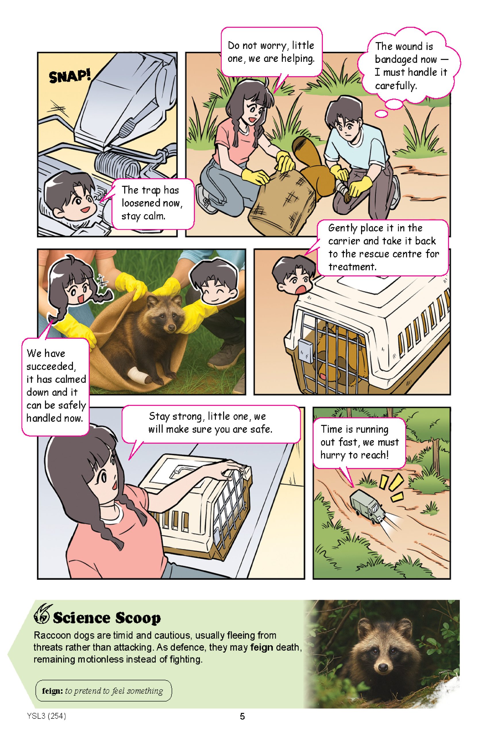 The Young Scientists 2026 Level 3- 254 WHO Started The Forest Fire - Image 4