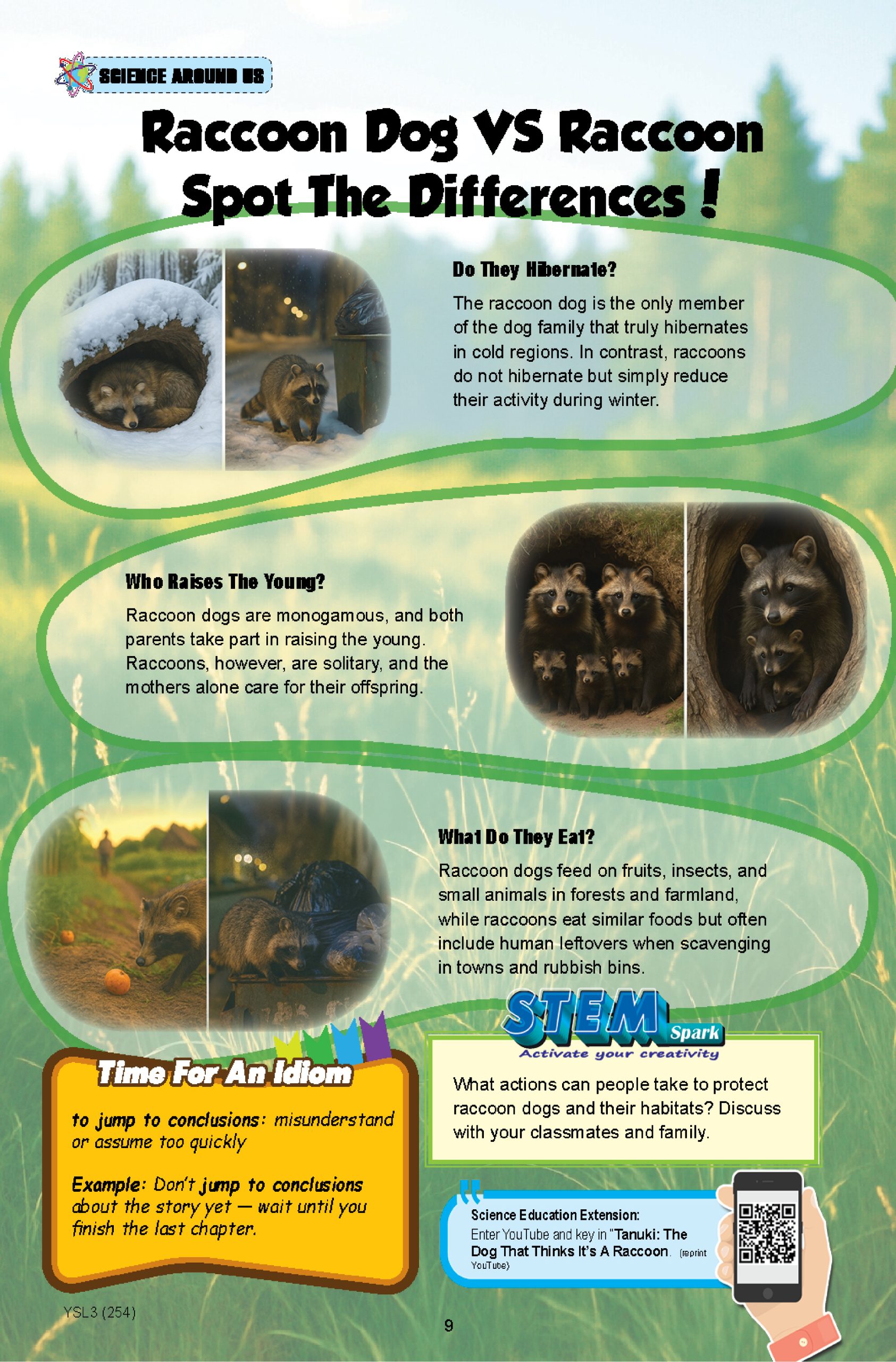 The Young Scientists 2026 Level 3- 254 WHO Started The Forest Fire - Image 5