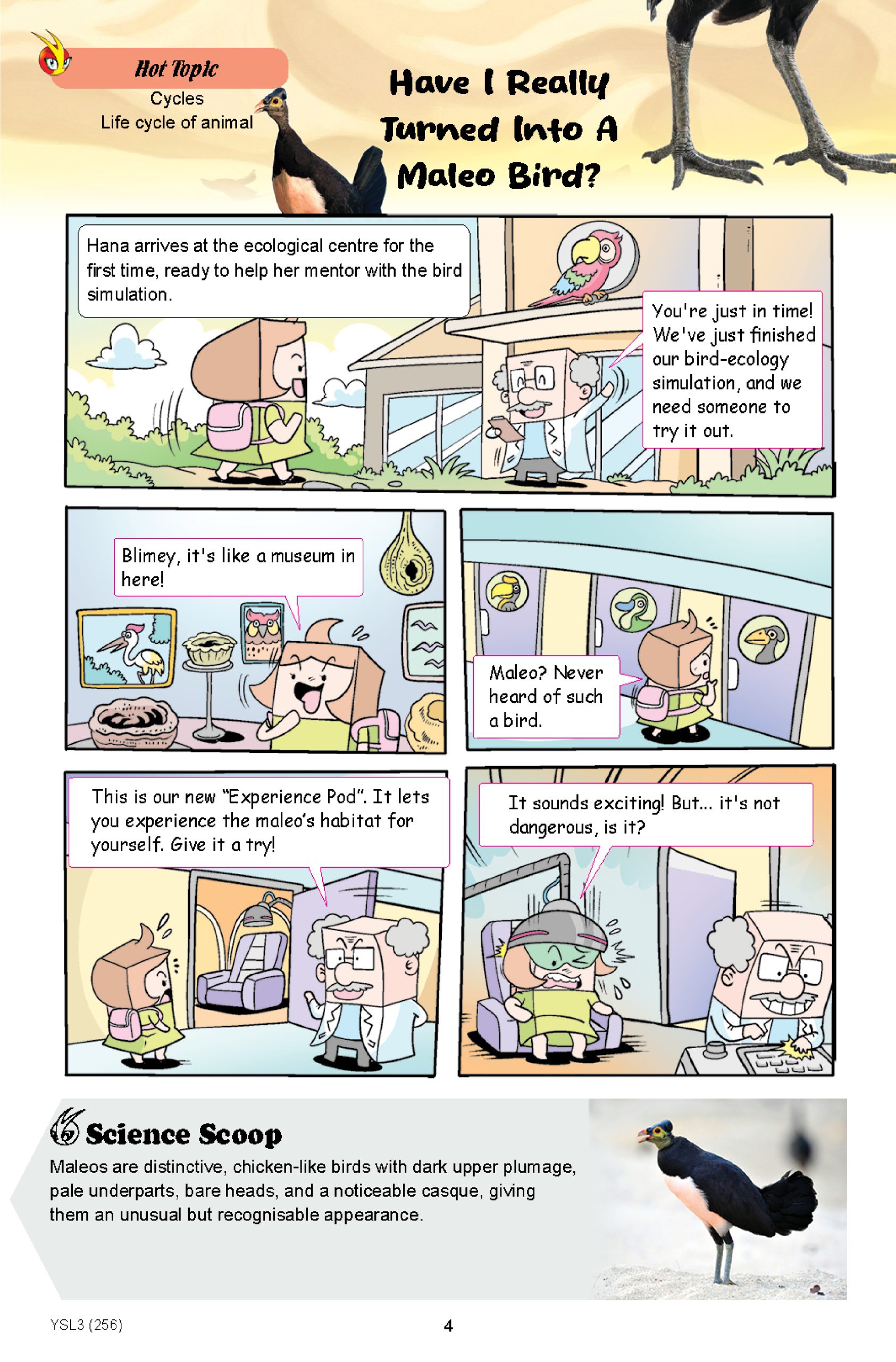 The Young Scientists 2026 Level 3- 256 Watch Out The Tornado Is Coming! - Image 3