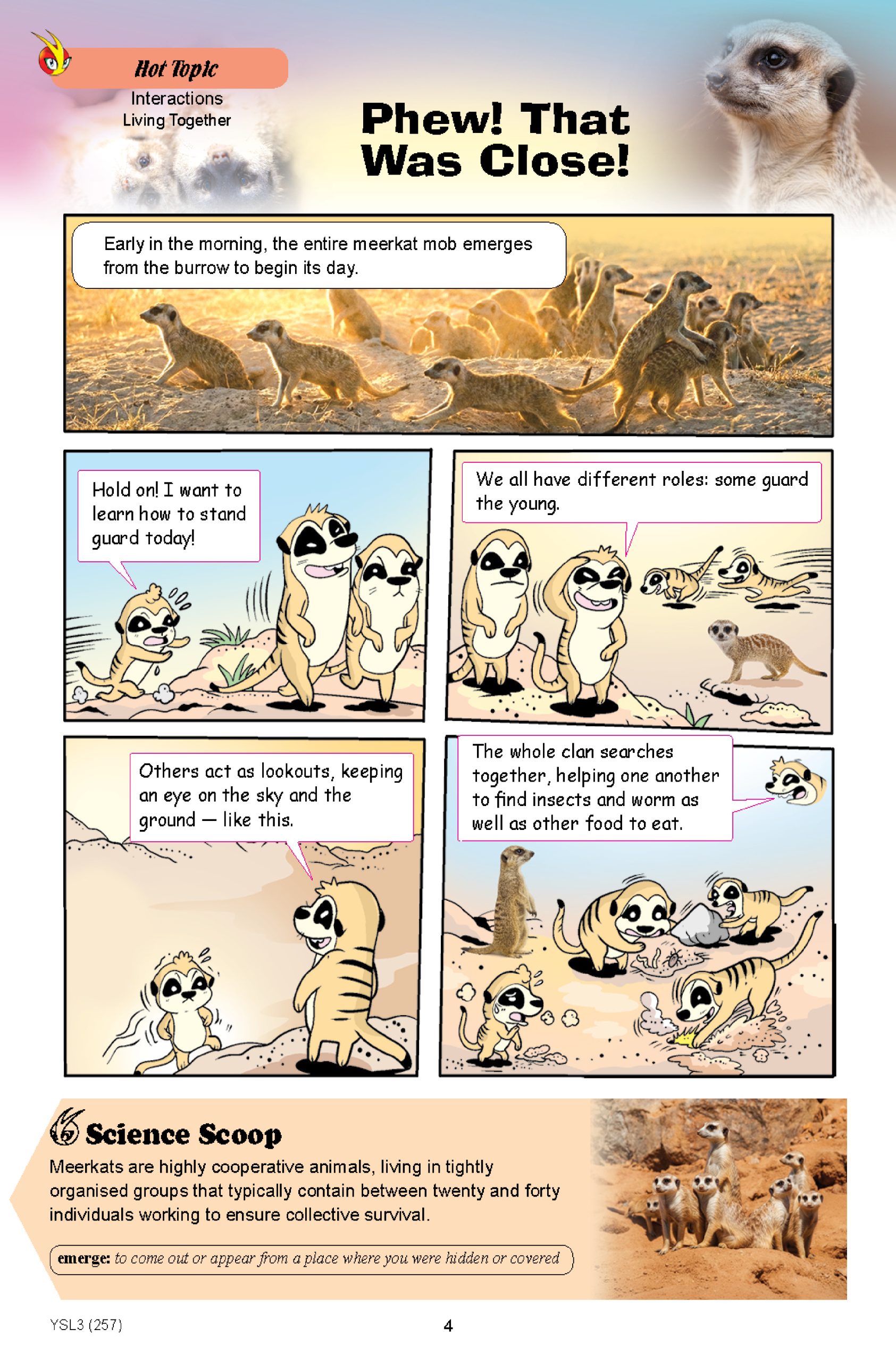 The Young Scientists 2026 Level 3- 257 Don't Get Lost, Follow The Baboon! - Image 3