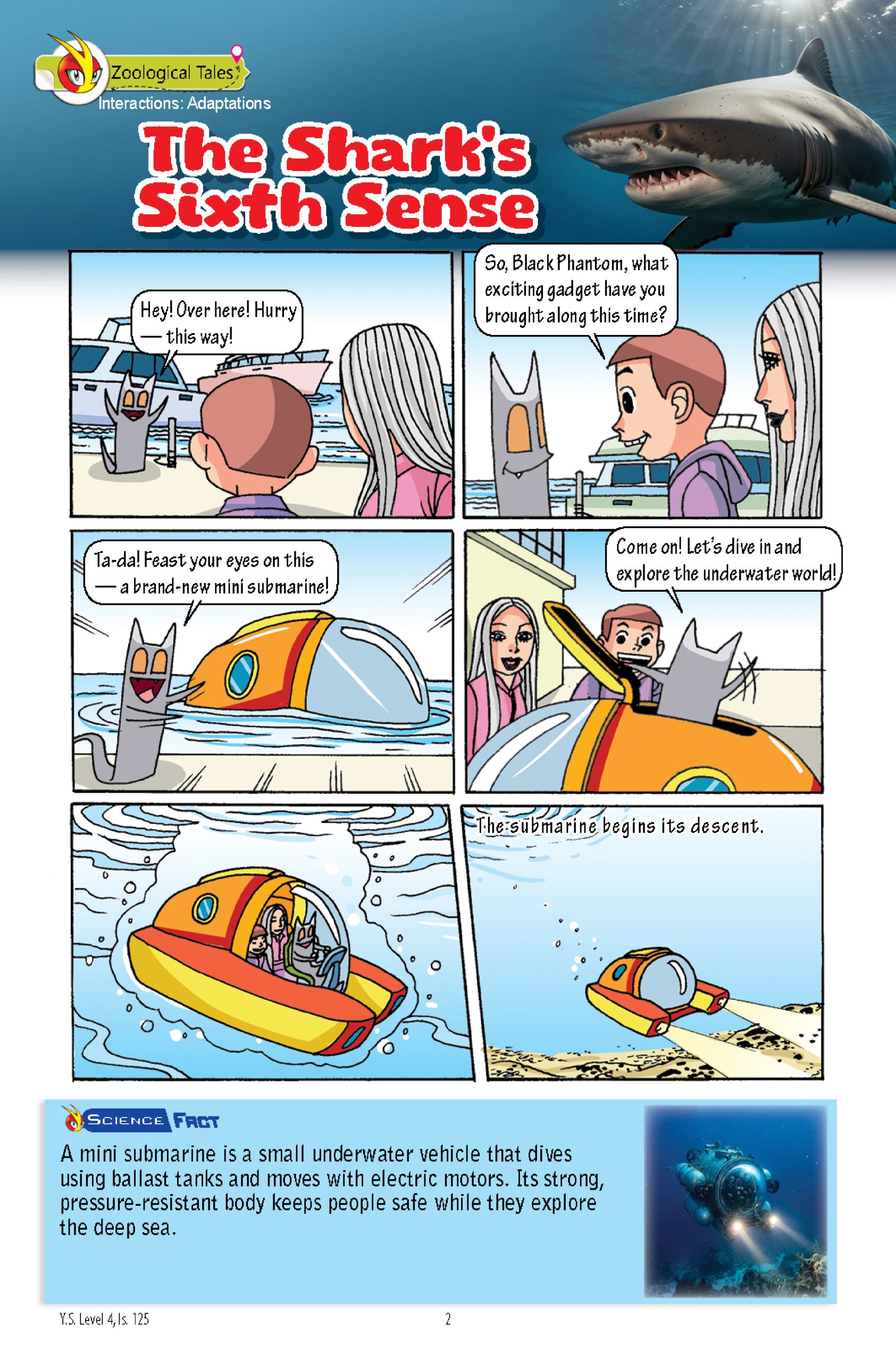 The Young Scientists 2026 Level 4- 125 When Ai Judges Fruit: How Smart Eyes Sort Apples Better - Image 3