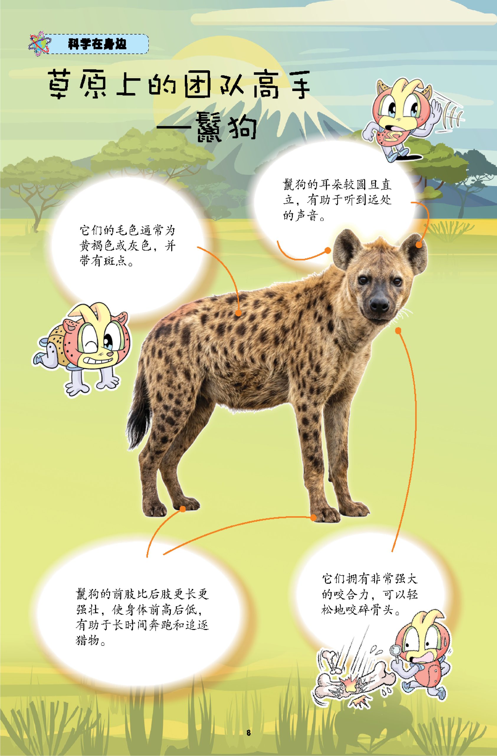 漫画科学系列 第46期:勇敢的小毛驴 - Image 5