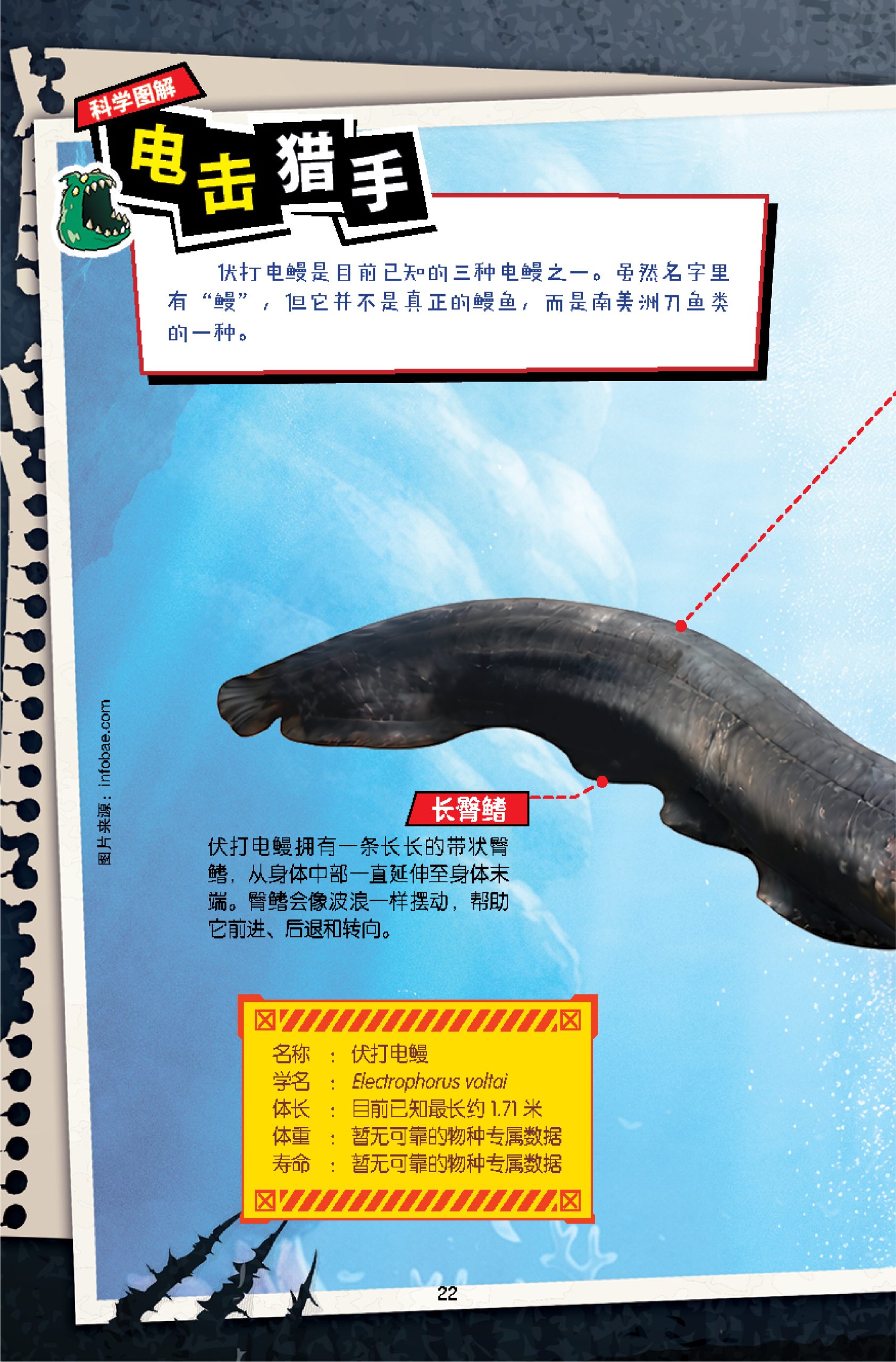 D’ZAYER 猛兽帝国 第9期:电光鳗影(上篇) - Image 5