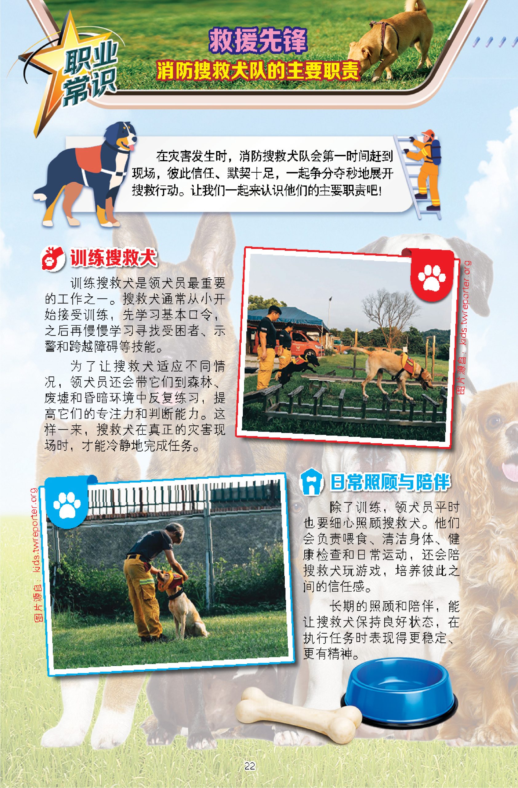 职业人气王系列 第114期:汪!救援开始(消防搜救犬篇) - Image 5